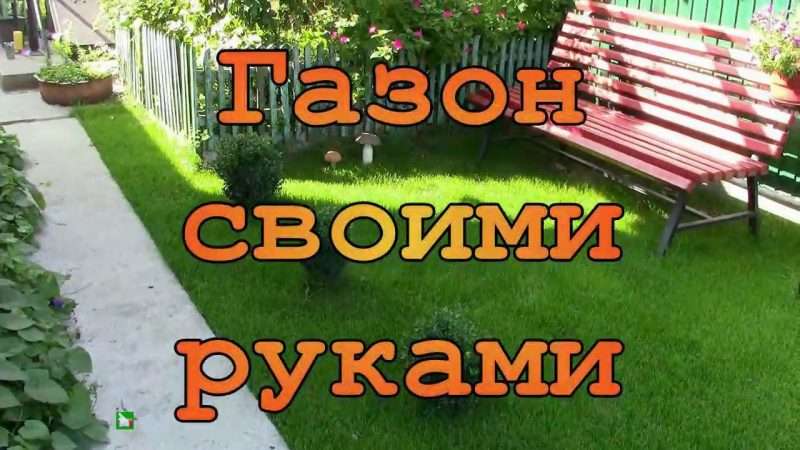 Создание газона на даче своими руками: пошаговая инструкция