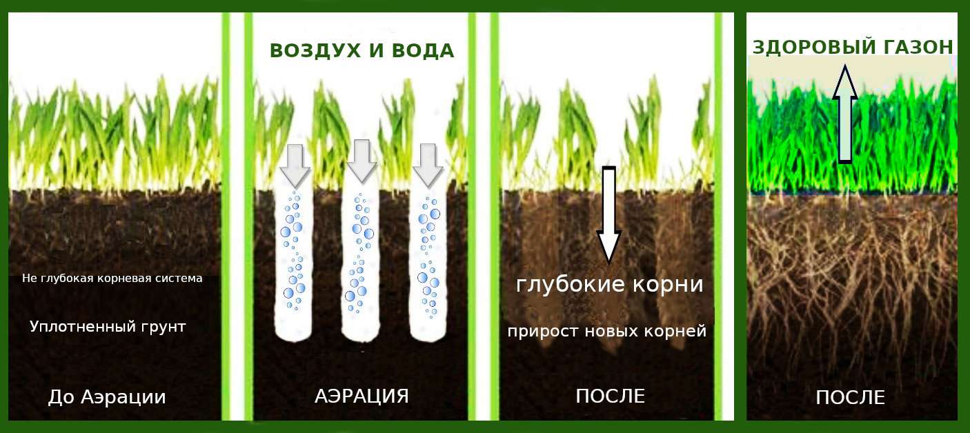 Создание газона своими руками на даче: пошаговая инструкция