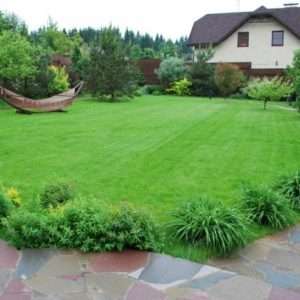 Создание идеального газона на даче: пошаговое руководство