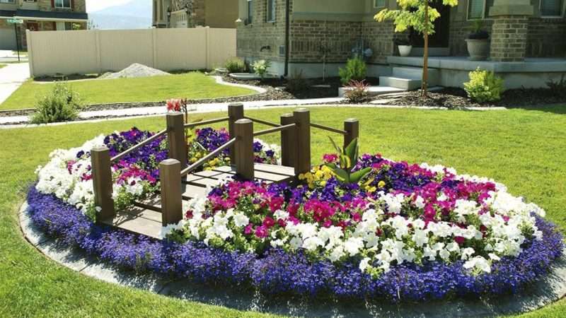 Создание красивой клумбы-цветника перед домом: выбор стиля, планирование и подбор растений