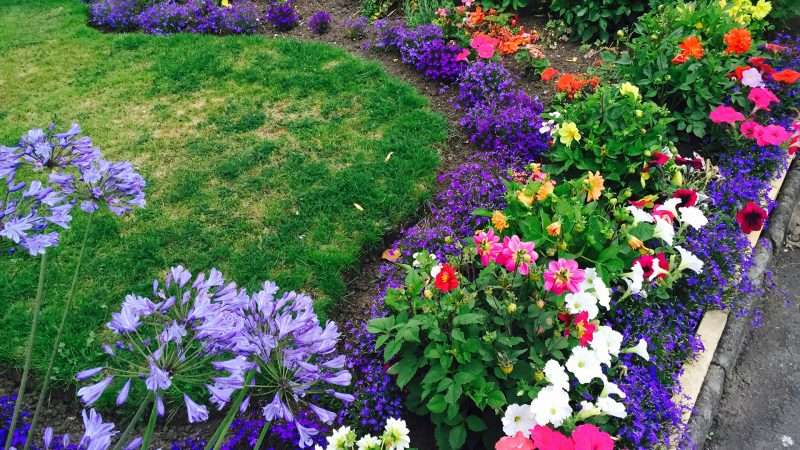 Создание красивой клумбы или цветника: вдохновляющие идеи и практические советы