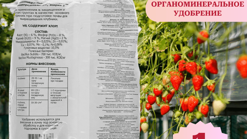 Удобрение почвы при посадке клубники: полное руководство для обильного урожая