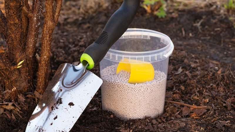 Удобрение почвы зимой: преимущества, особенности и методы