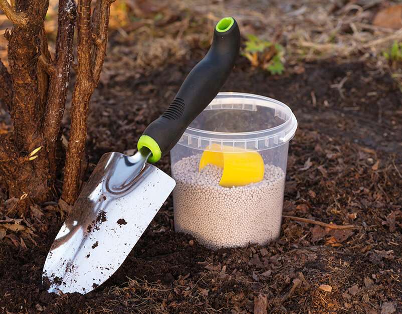 Удобрение почвы зимой: преимущества, особенности и методы