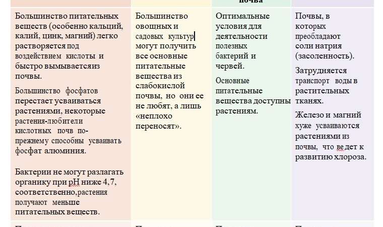 Удобрения для кислой почвы: как нейтрализовать кислотность и улучшить плодородие