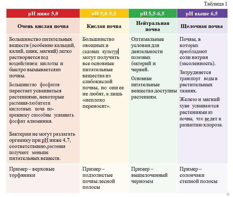 Удобрения для кислой почвы: как нейтрализовать кислотность и улучшить плодородие