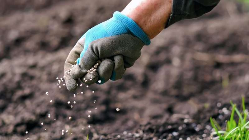 Удобрения, вносимые в почву