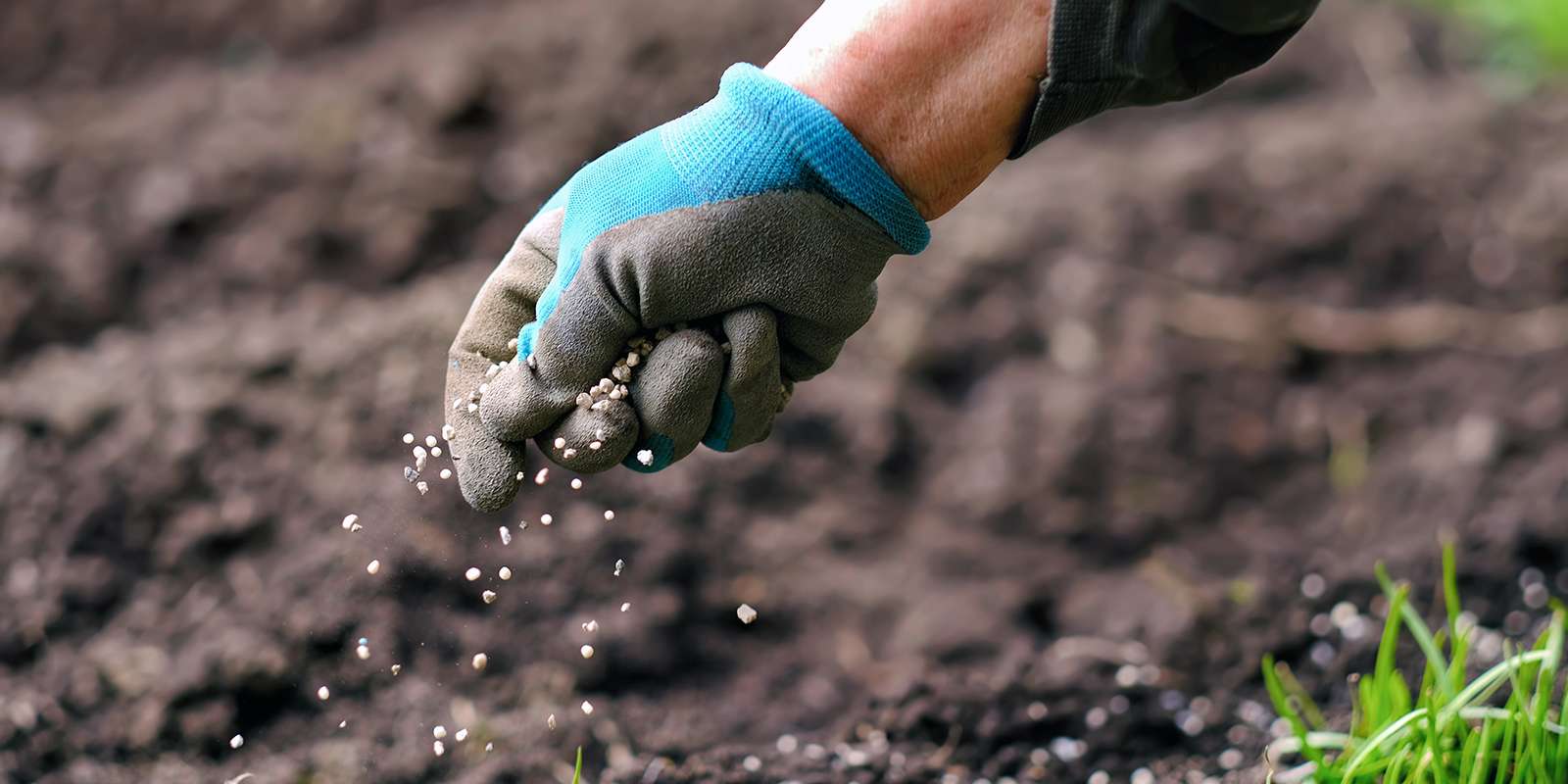 Удобрения, вносимые в почву