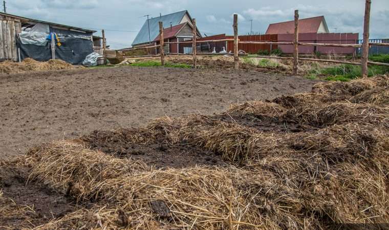 Внесение удобрений в почву: руководство для начинающих аграриев