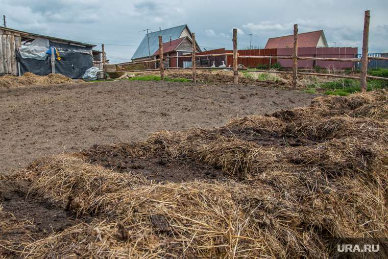 Внесение удобрений в почву: руководство для начинающих аграриев