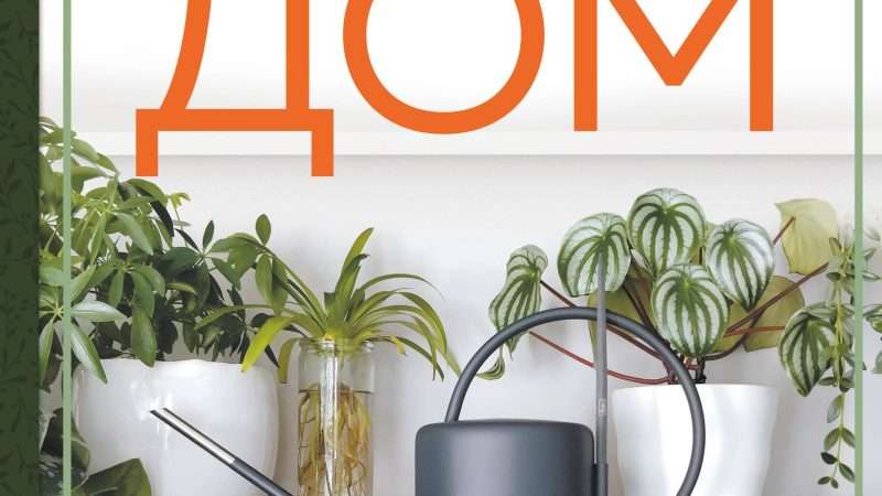 Все для комнатных цветков: путеводитель по магазинам и товарам