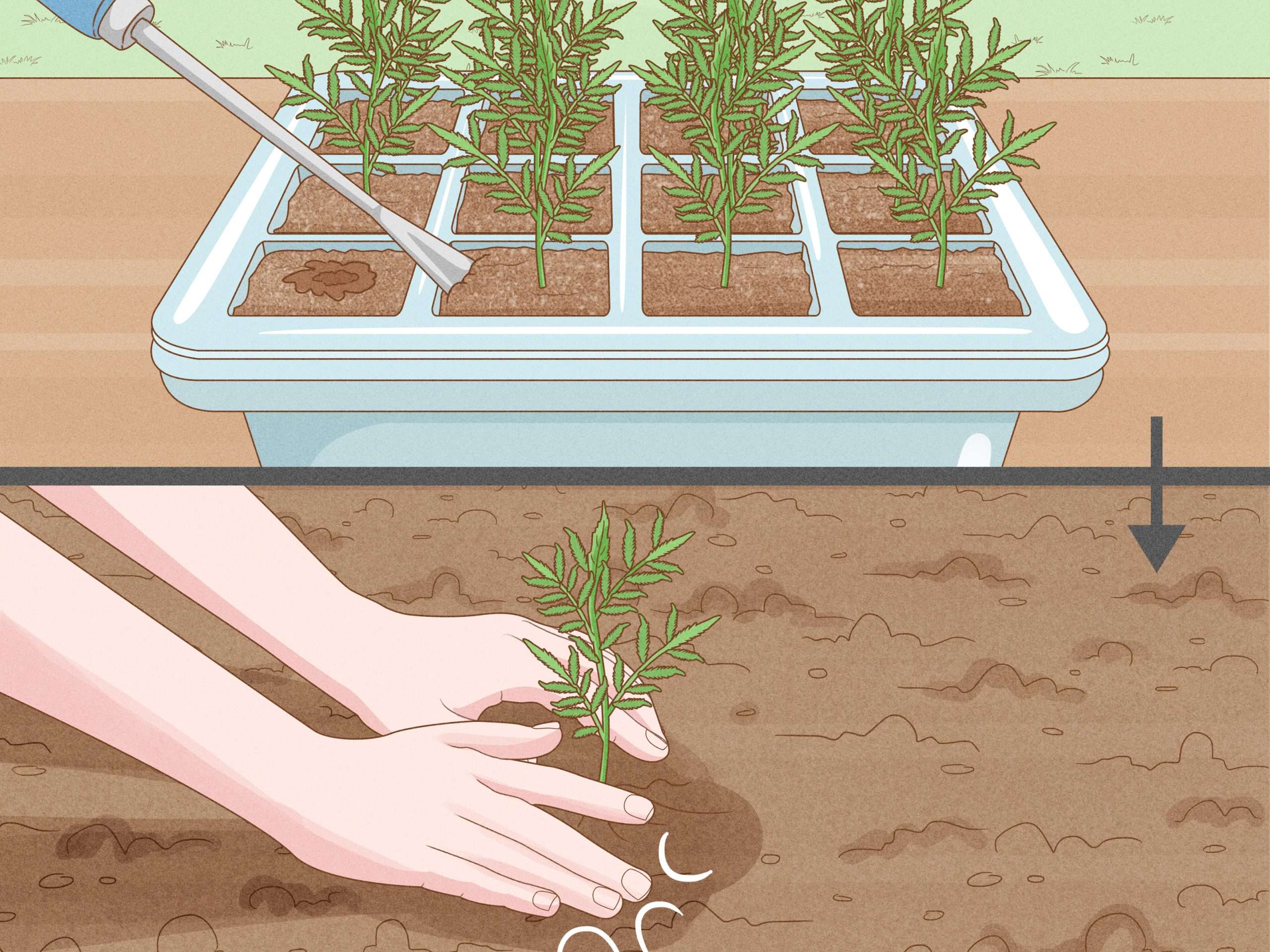 Выращивание цветов из семян: полное руководство для начинающих