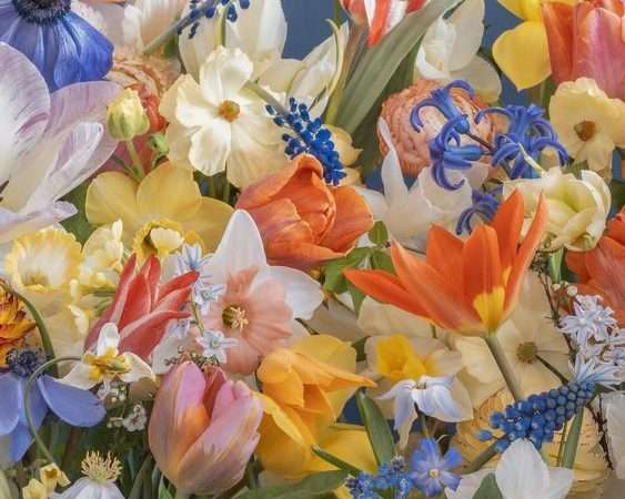 Выращивание цветов как бизнес: полное руководство для начинающих