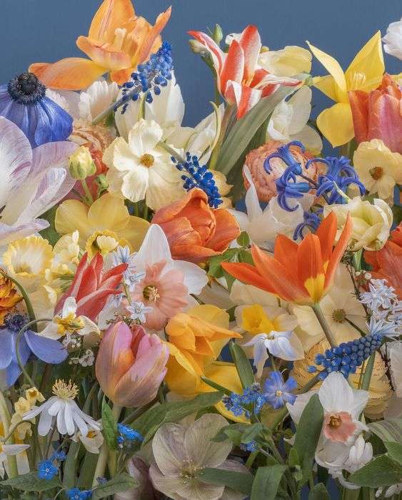 Выращивание цветов как бизнес: полное руководство для начинающих