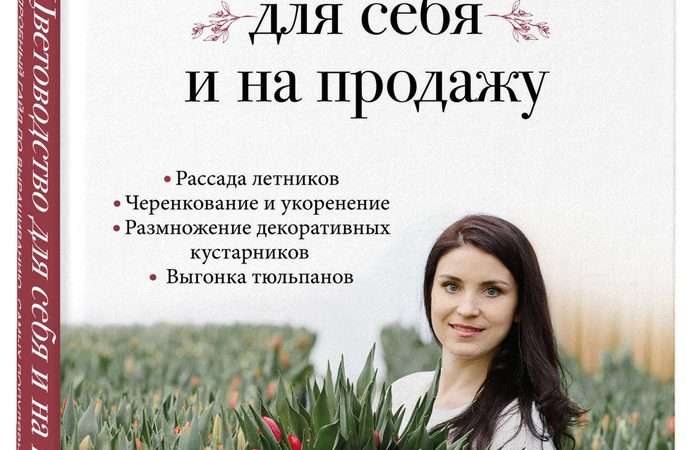 Выращивание цветов на продажу: Полное руководство для начинающих