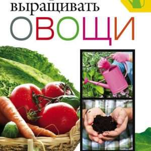 Выращивание овощей дома: полное руководство для начинающих