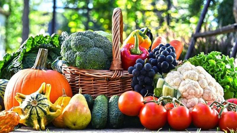 Выращивание овощей и фруктов: от семени до урожая