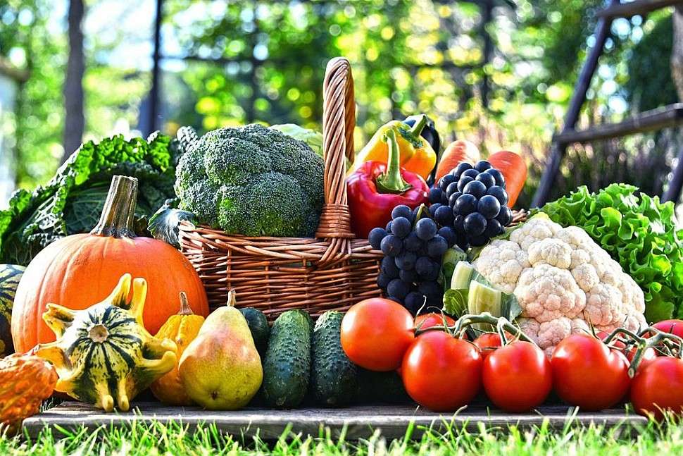 Выращивание овощей и фруктов: от семени до урожая