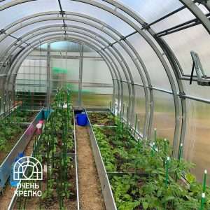 Выращивание овощей в теплице: полное руководство