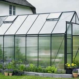 Выращивание овощей зимой: выбор сортов, подготовка теплицы и обеспечение освещения