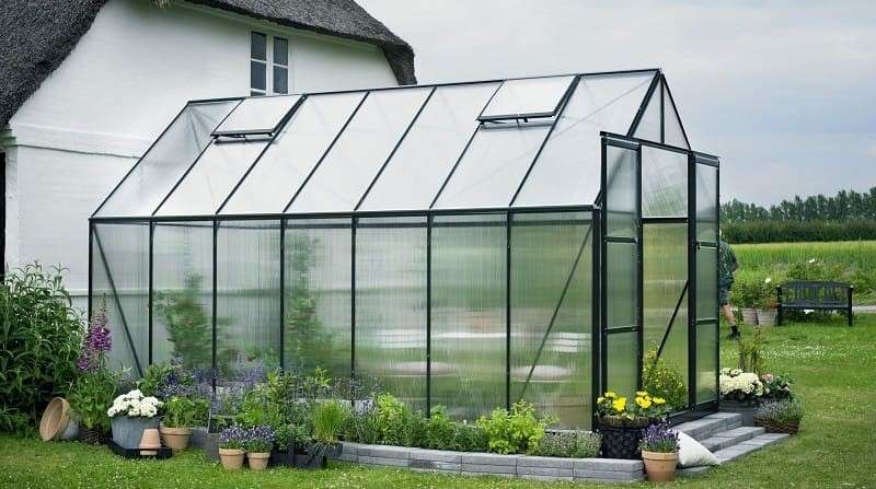 Выращивание овощей зимой: выбор сортов, подготовка теплицы и обеспечение освещения