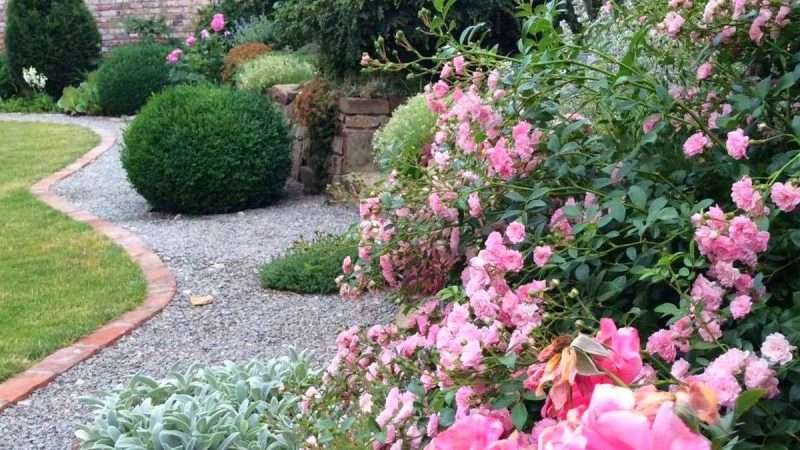 Выращивание садовых цветов: Создаем цветущий сад своей мечты