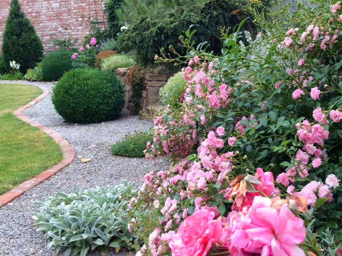 Выращивание садовых цветов: Создаем цветущий сад своей мечты