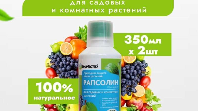 Защита комнатных растений от вредителей и болезней