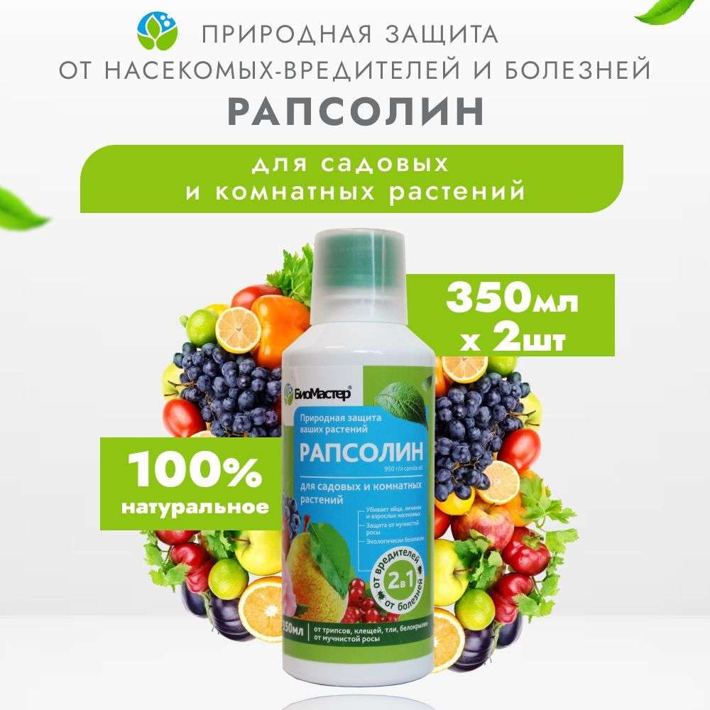 Защита комнатных растений от вредителей и болезней