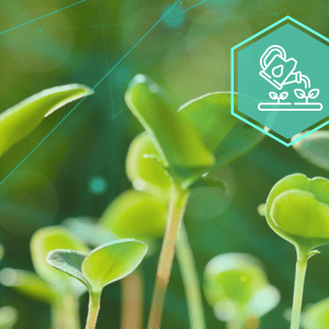 Защита растений от болезней: ключевые аспекты и методы