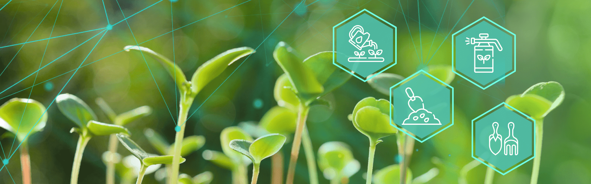 Защита растений от болезней: ключевые аспекты и методы