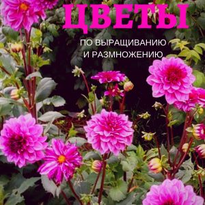 Выращивание цветов из семян: Полное руководство